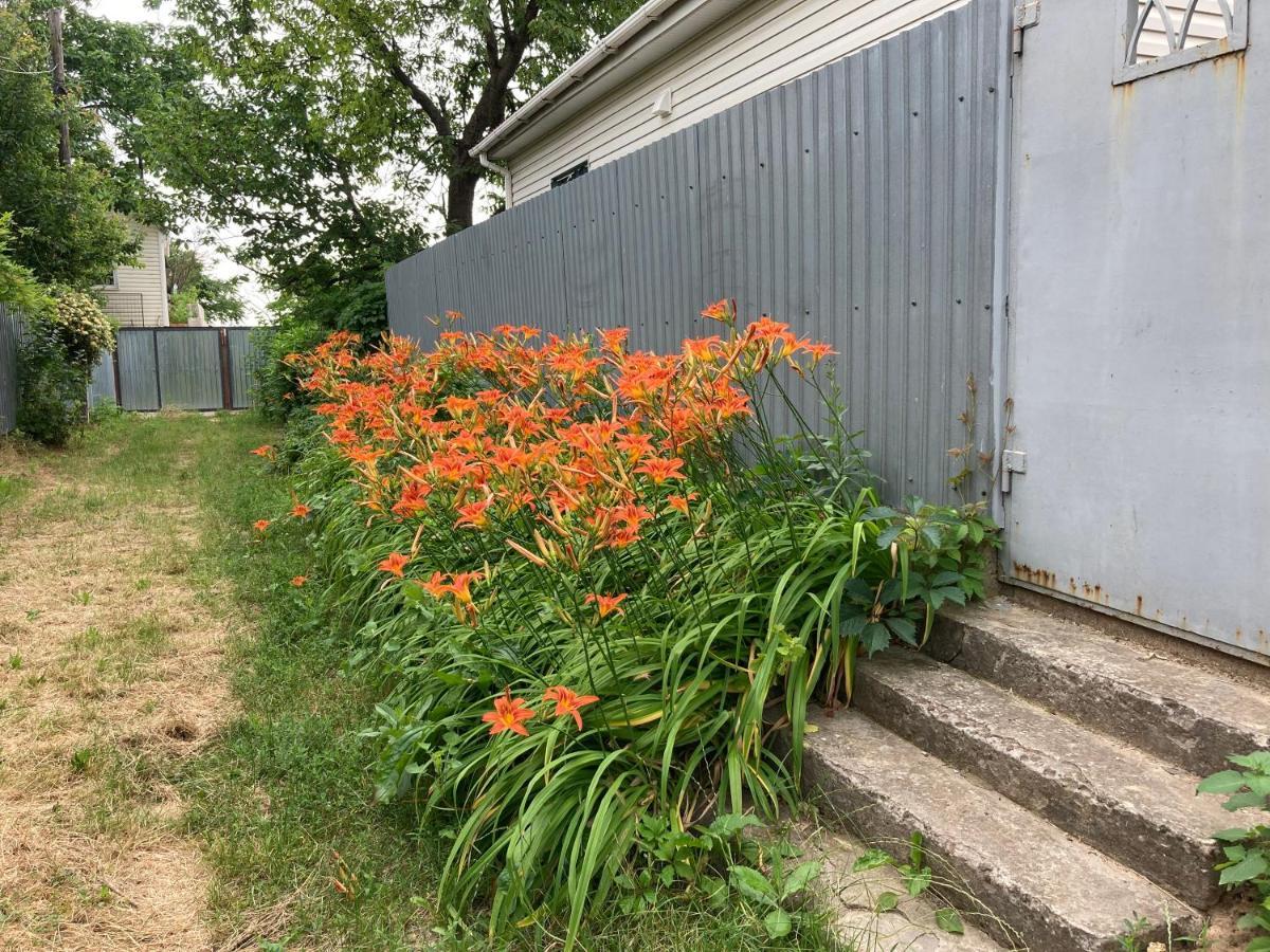 敖德萨House near the sea别墅 外观 照片