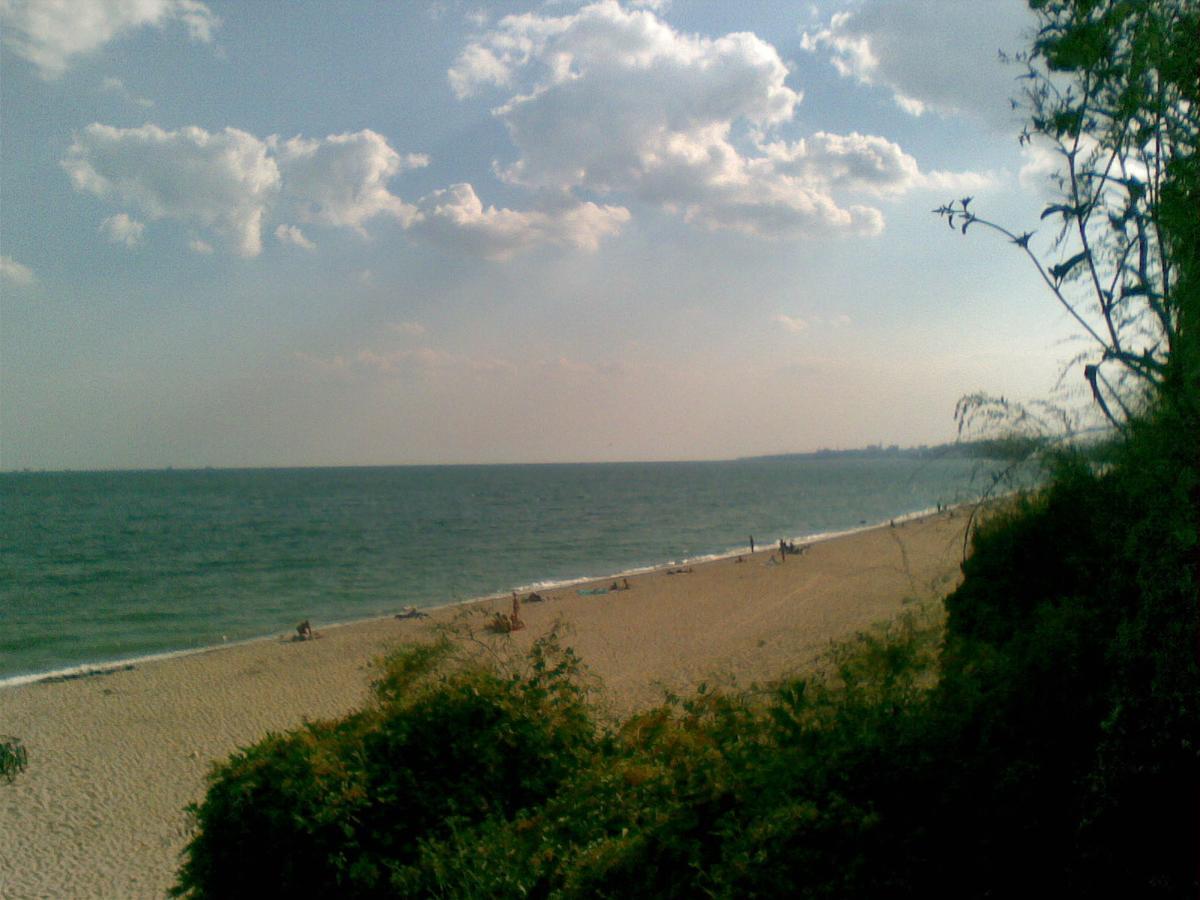 敖德萨House near the sea别墅 外观 照片